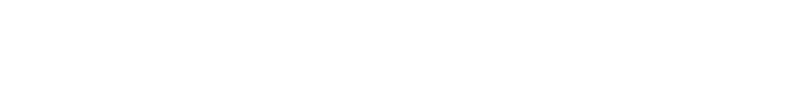 Transport Logistics Company